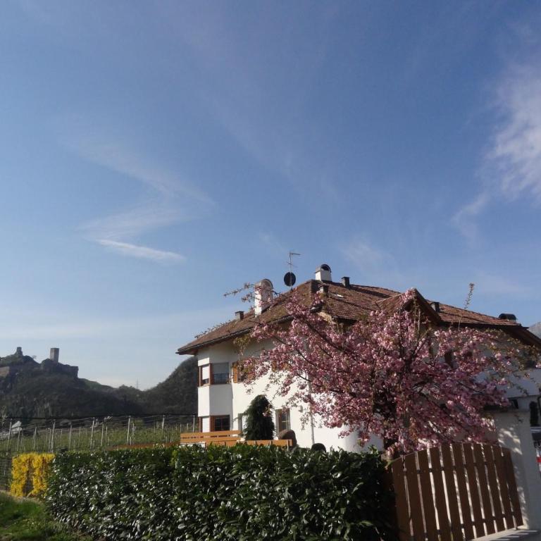 Apartments Klotz - Appartamento con 2 Camere da Letto - 8