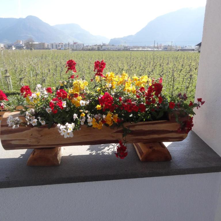 Apartments Klotz - Appartamento con 2 Camere da Letto - 5