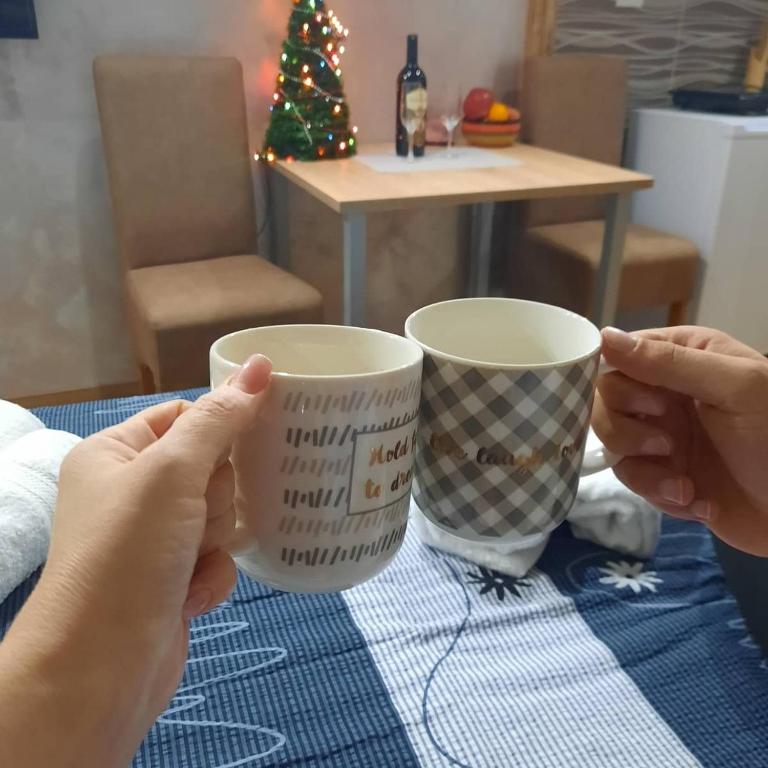 Apartmani MILOSAVLJEVIĆ Divčibare - Studio sa Bračnim Krevetom (Queen-size) - 7