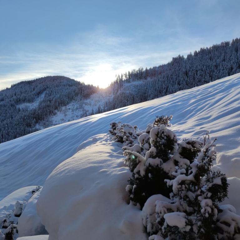 Batacör - Natures Heartbeat - Chalet con 2 Camere da Letto - 3