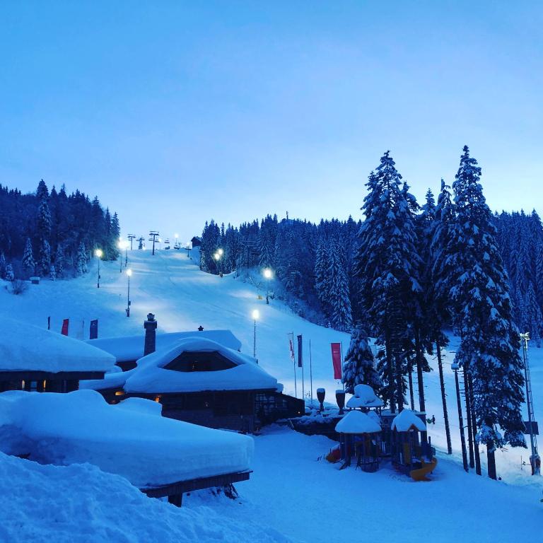 Ski Rest Jahorina - Apartment - 43