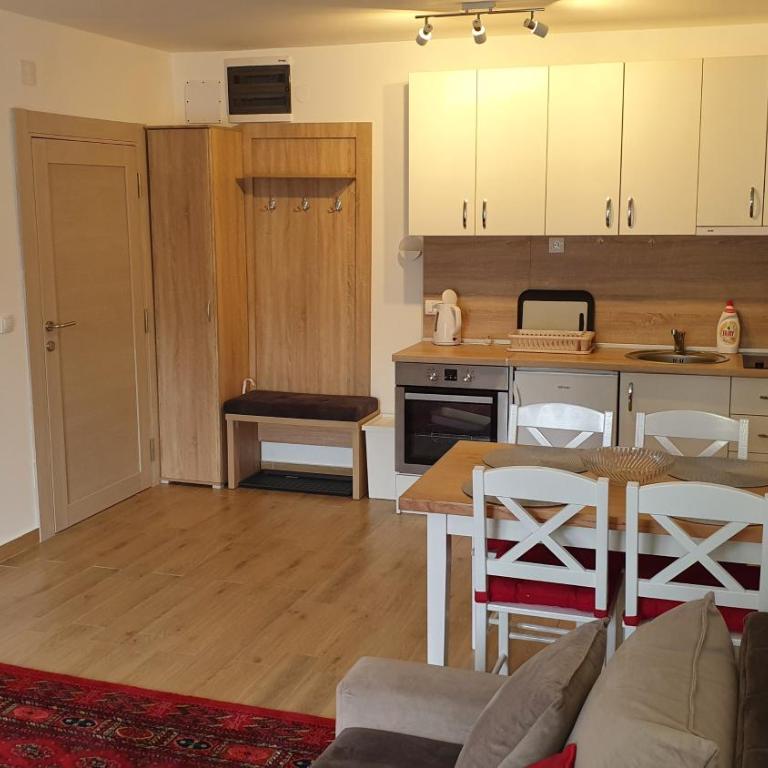 APARTMAN OLAF KOPAONIK - One-Bedroom Apartment - 4
