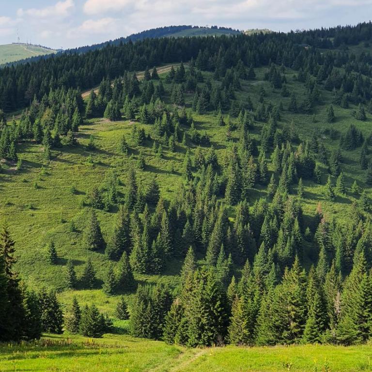 APARTMAN OLAF KOPAONIK - One-Bedroom Apartment - 18