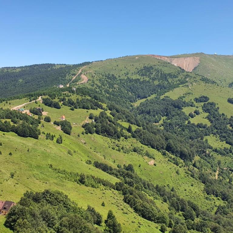 APARTMAN OLAF KOPAONIK - One-Bedroom Apartment - 15