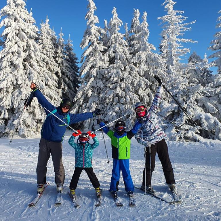 APARTMAN OLAF KOPAONIK - One-Bedroom Apartment - 27