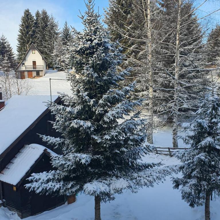 APARTMAN OLAF KOPAONIK - One-Bedroom Apartment - 26