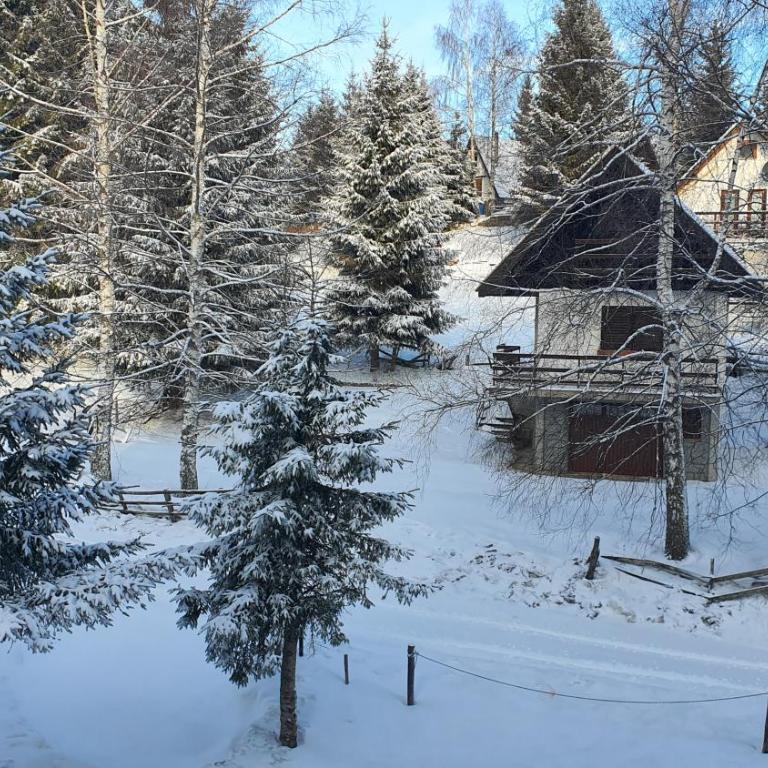 APARTMAN OLAF KOPAONIK - One-Bedroom Apartment - 25