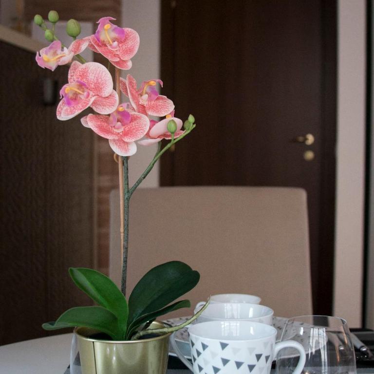 Morgan Suite Roma - One-Bedroom Apartment - 19