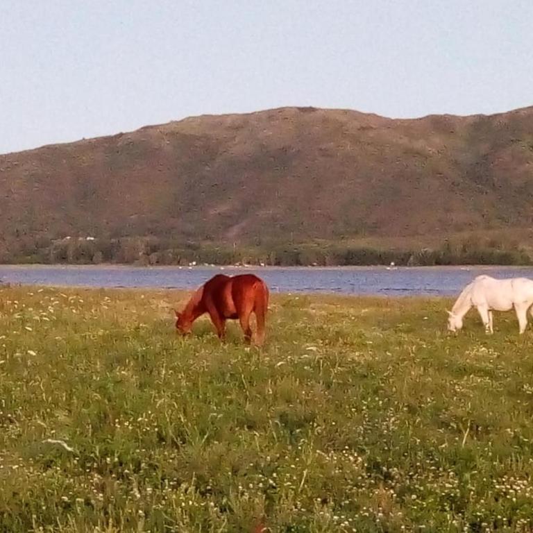 Premium Apart frente al Dique Los Molinos - Deluxe Apartment - 4