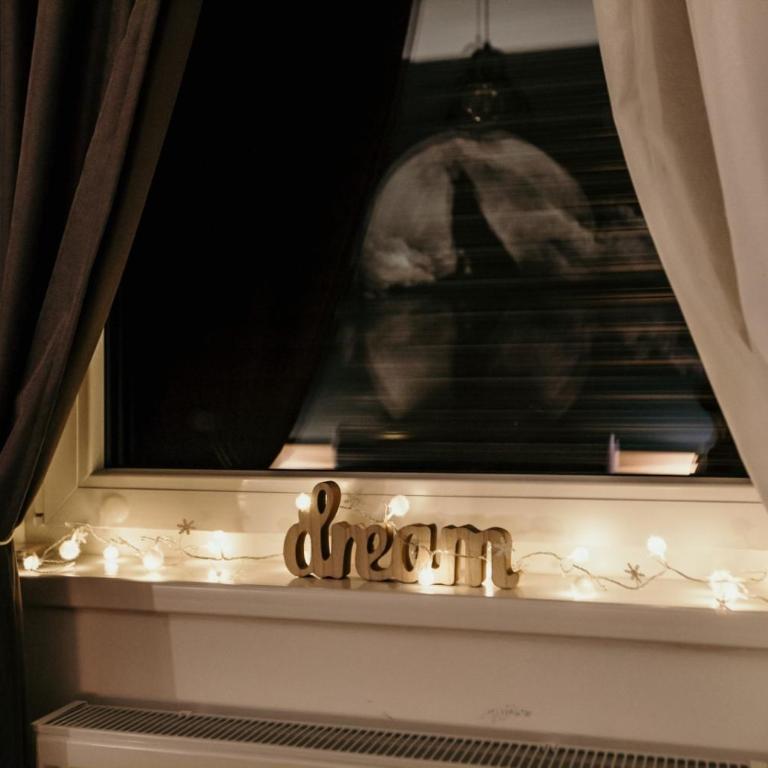 WOLF apartments - One-Bedroom Apartment - 16