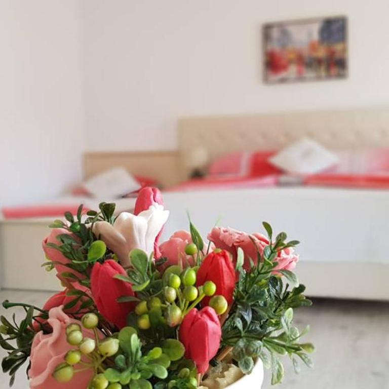 Apartments Ardoni - Studio with Balcony - 6