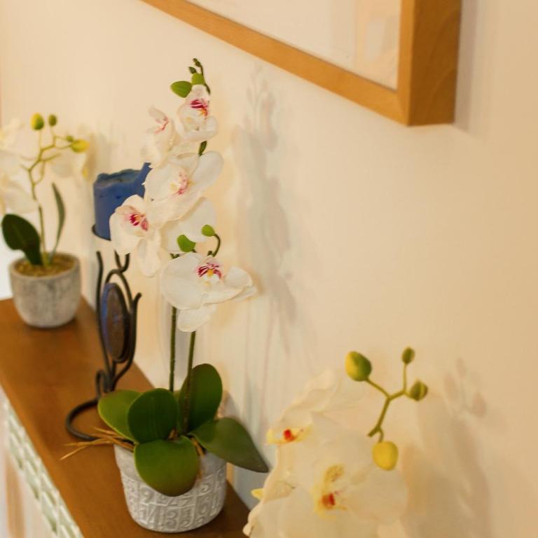 Refugi d' Inclès B4 - Apartamento de 1 dormitorio - 25