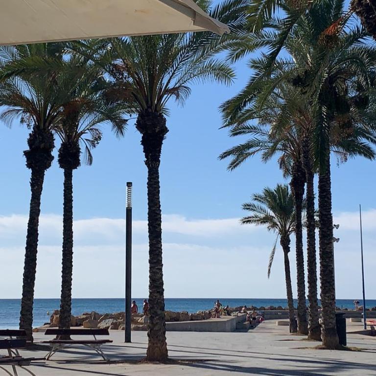 Residenz Ramon Gallud - Apartamento de 2 dormitorios - 12