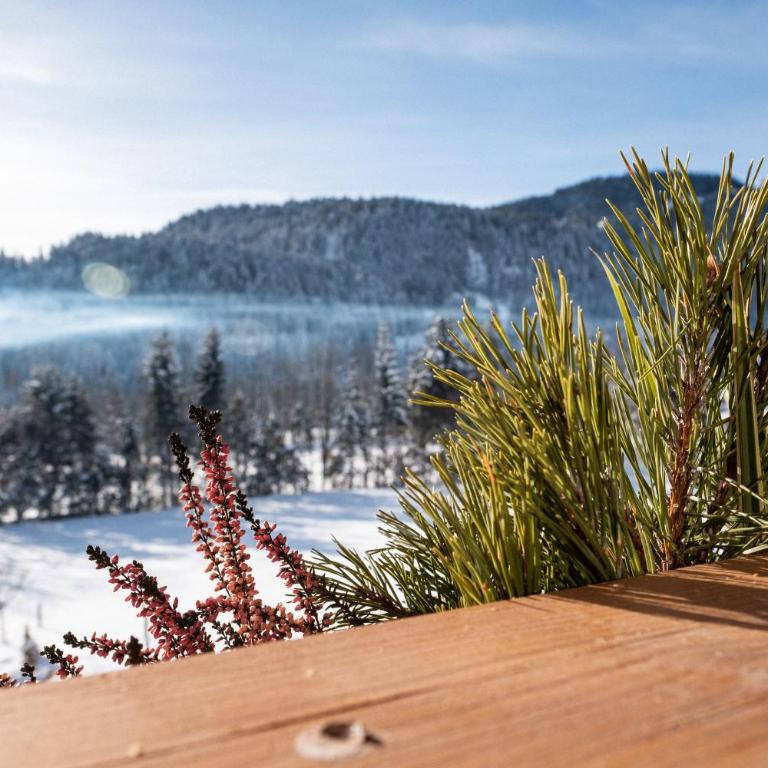 KaiserMoments - Ferienwohnung mit 3 Schlafzimmern mit Sauna - 15