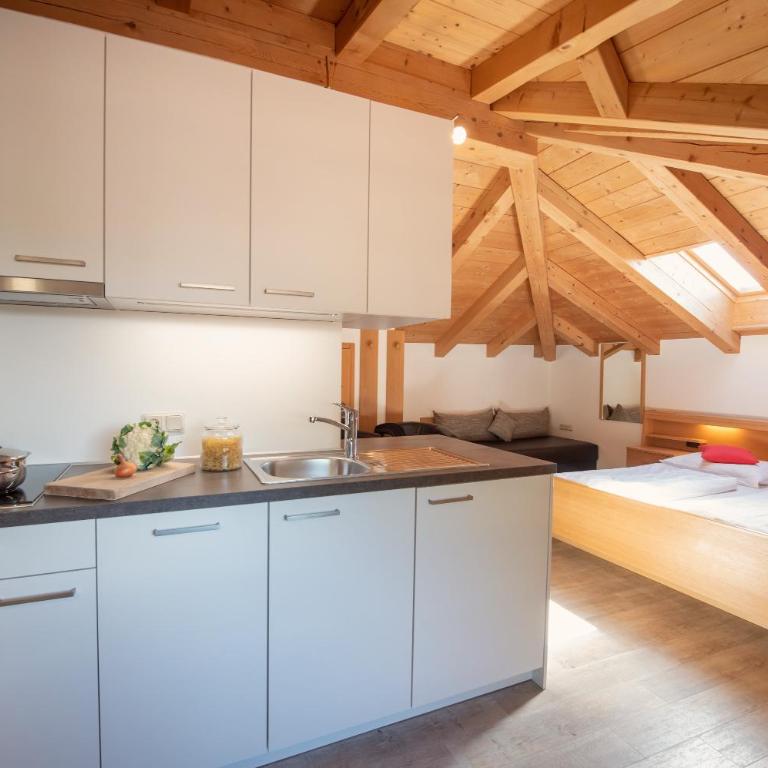 Göllerhof - Appartamento Monolocale - 3