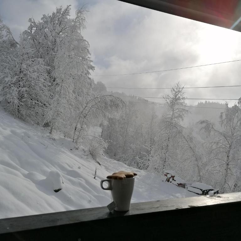 Apartman Div Kopaonik - One-Bedroom Apartment - 23