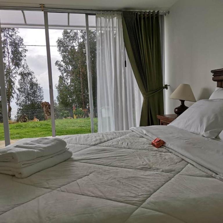 Santelmo Casa Hotel Boutique - Habitación Doble con vistas al jardín - 5