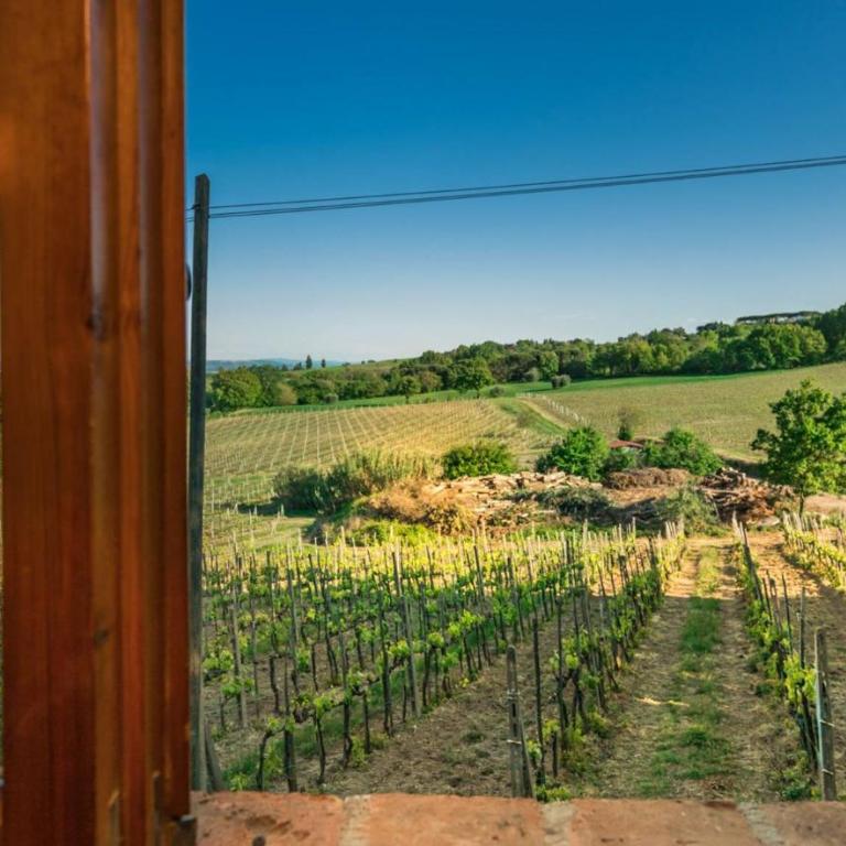 Agriturismo Palazzo Bandino in Val di Chiana, Val dorcia - Appartamento con Vista Giardino - 1
