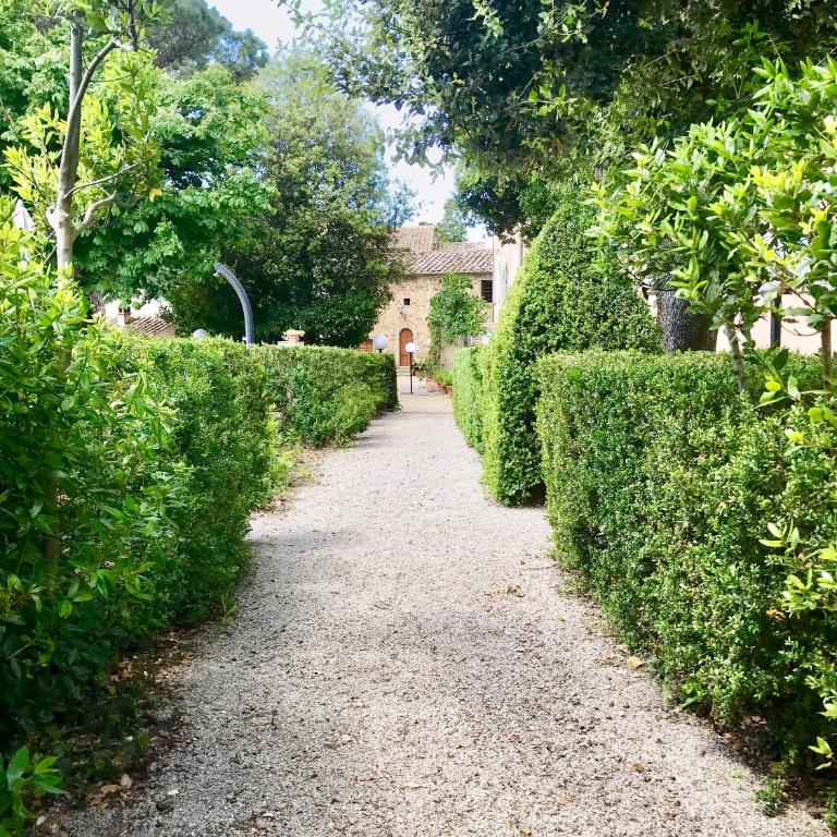 Villa Vivarelli - Villa - 11