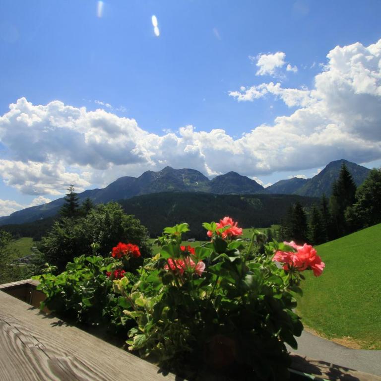 Ferienhof Obertenn - Comfort Apartment mit 1 Schlafzimmer und Balkon - 7