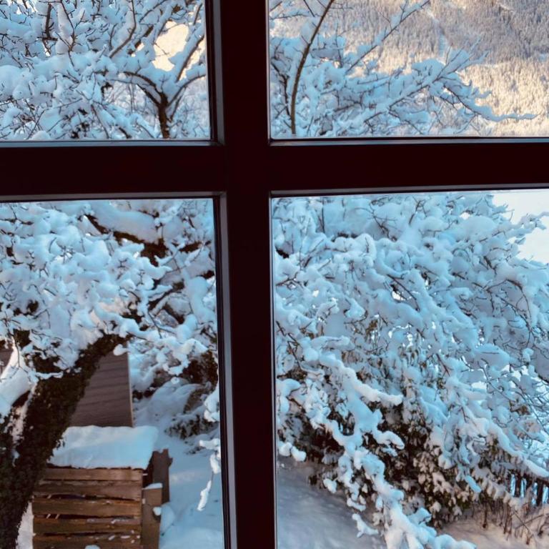Forest Chalet, all famous ski areas around us, 15 min to city of salzburg, mountainview, panorama sauna, bath whirlpool, fire pit in garden up to 10 p - Haus mit 4 Schlafzimmern - 79