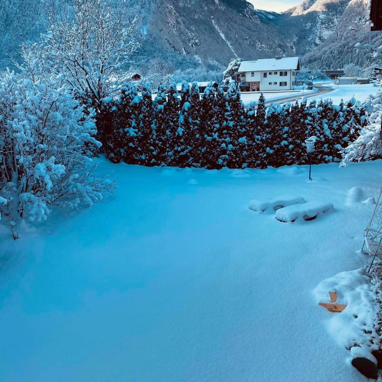 Forest Chalet, all famous ski areas around us, 15 min to city of salzburg, mountainview, panorama sauna, bath whirlpool, fire pit in garden up to 10 p - Haus mit 4 Schlafzimmern - 76