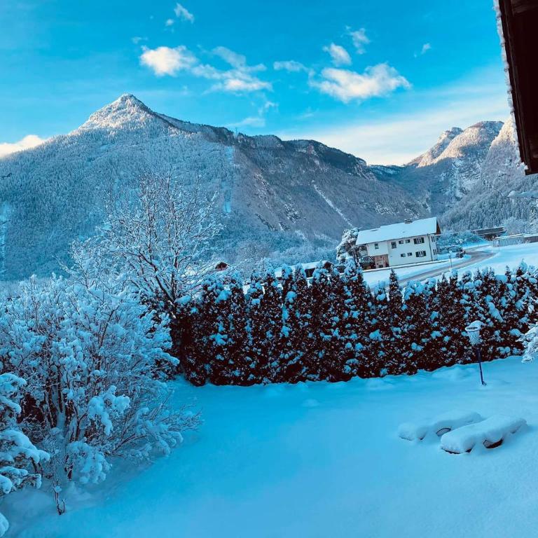 Forest Chalet, all famous ski areas around us, 15 min to city of salzburg, mountainview, panorama sauna, bath whirlpool, fire pit in garden up to 10 p - Haus mit 4 Schlafzimmern - 77