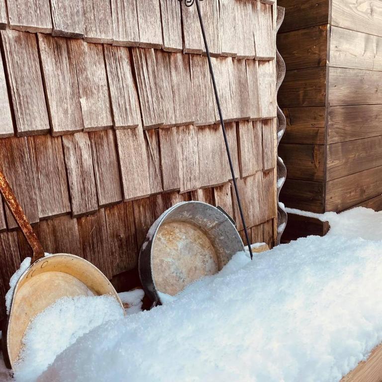 Forest Chalet, all famous ski areas around us, 15 min to city of salzburg, mountainview, panorama sauna, bath whirlpool, fire pit in garden up to 10 p - Haus mit 4 Schlafzimmern - 72