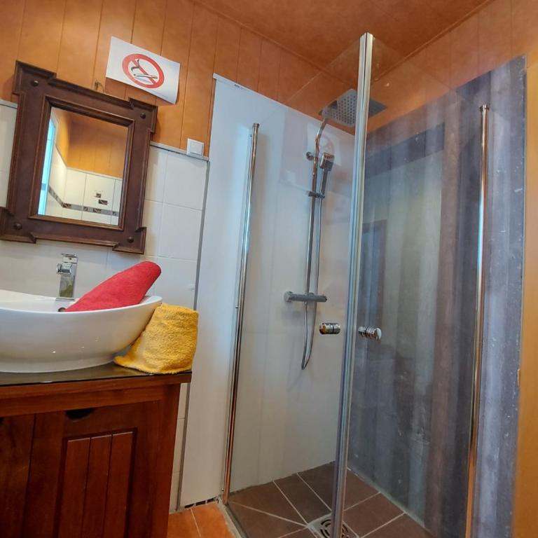 HAUS SONBERG mit Garten, Pool, Fasssauna, semi detached house with garden - Appartement en Duplex - 20