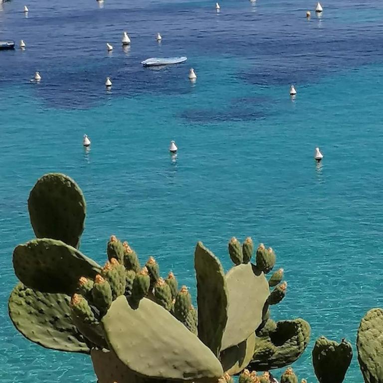 Casa Vacanza Tra Cielo e Mare - Casa Vacanze - 35