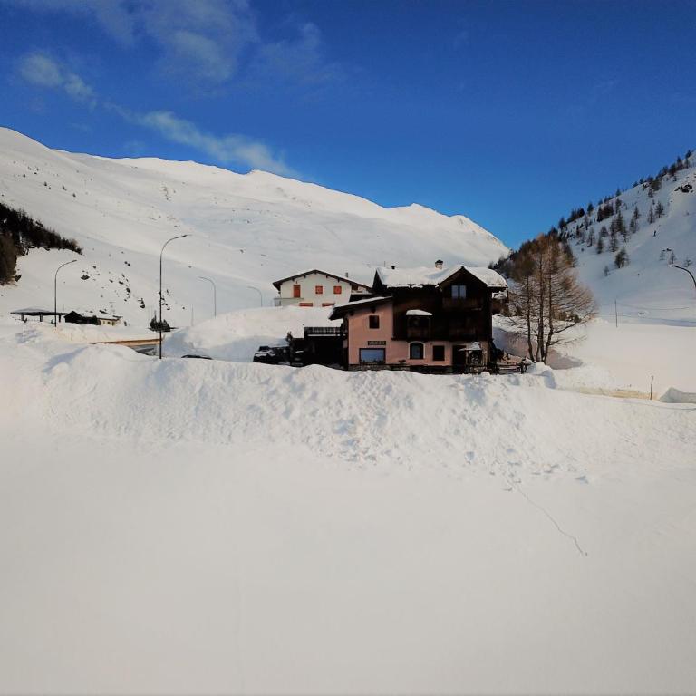 Al Dos - Appartamento con Vista Montagna - 15