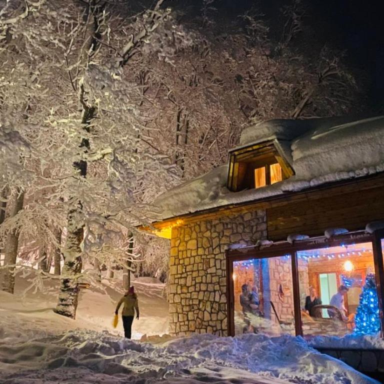 Green Forest - Villa - 50