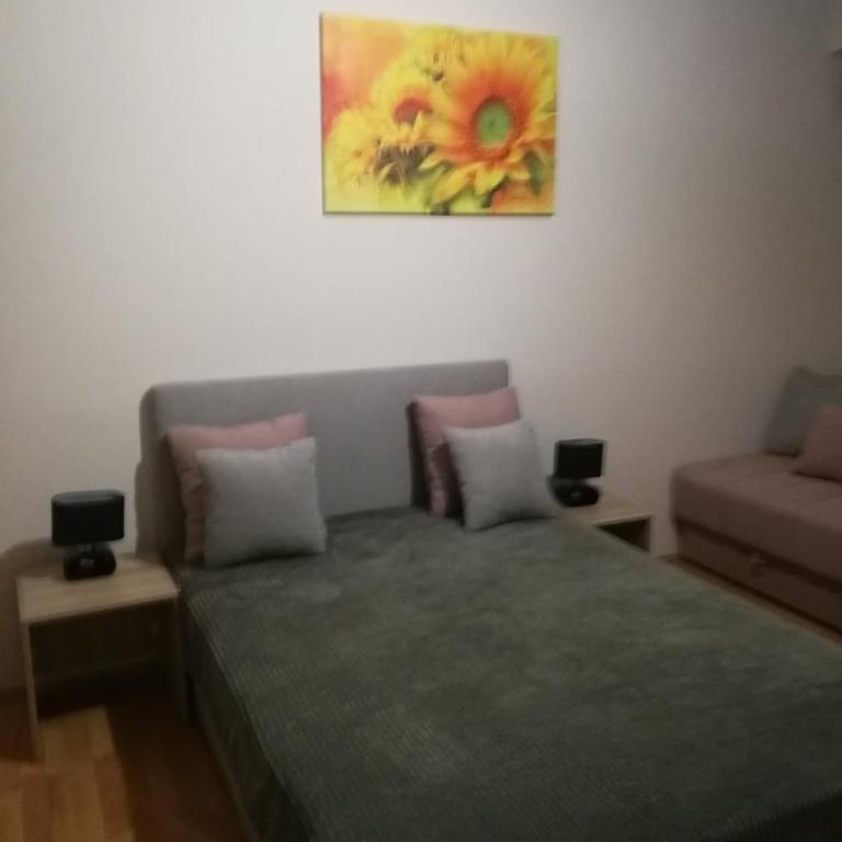 Apartmani Radivojević - Deluxe Room - 1