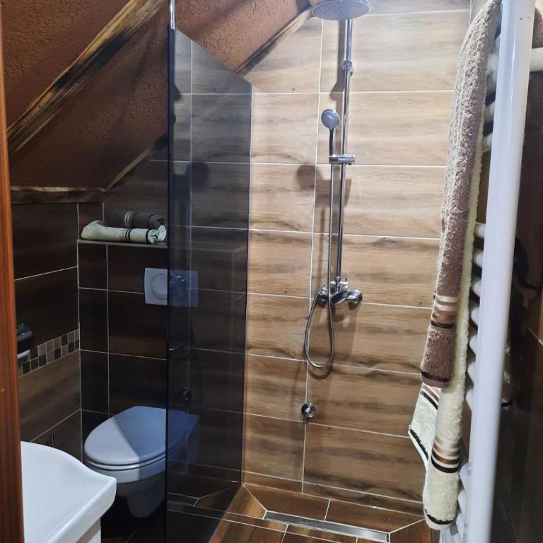 Apartmani MILOSAVLJEVIĆ Divčibare - Studio sa Bračnim Krevetom (Queen-size) - 16
