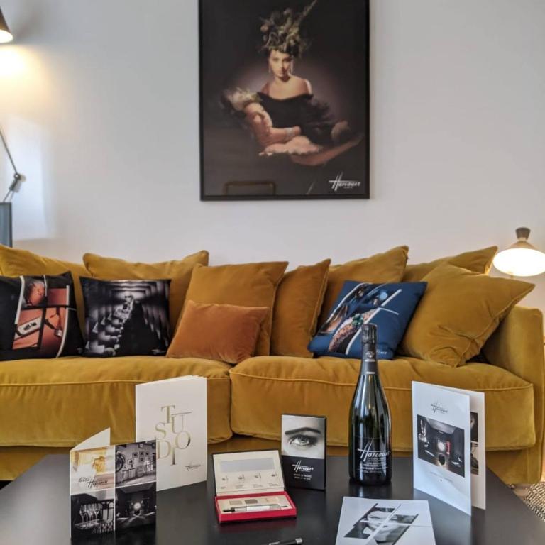RESIDENCES HARCOURT - Ile Saint Louis - PARIS - Appartement Deluxe - 15