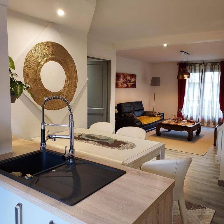 Residence du Vieux Chateau jardin & parking gratuit - Appartamento con 1 Camera da Letto - 12