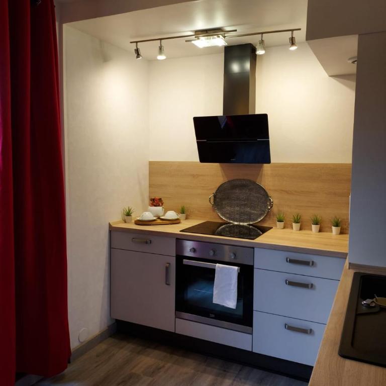 Residence du Vieux Chateau jardin & parking gratuit - Appartamento con 1 Camera da Letto - 6