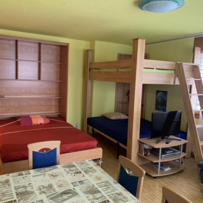 Davos Lodge by Quokka 360 - Practical and Cozy Stay for Skiers - Apartment mit 1 Schlafzimmer - 1
