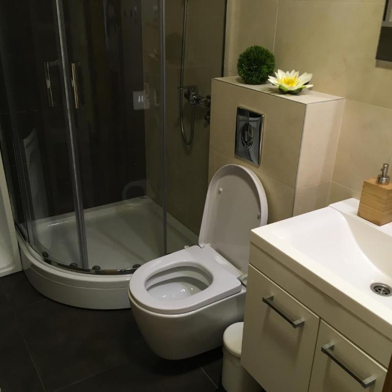 Zlatiborska vila 2 - Apartman sa 1 Spavaćom Sobom - 16