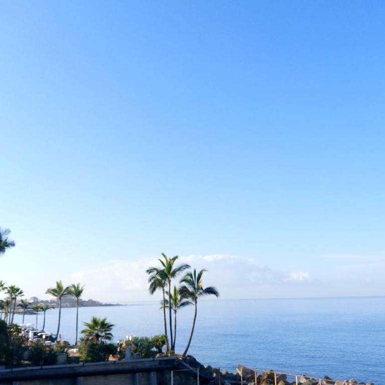 ADEJE EL GALEON SEA View - Apartamento de 2 dormitorios - 4