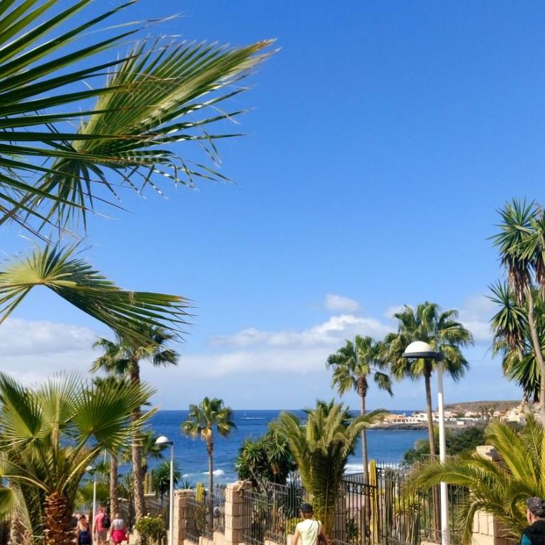 ADEJE EL GALEON SEA View - Apartamento de 2 dormitorios - 8