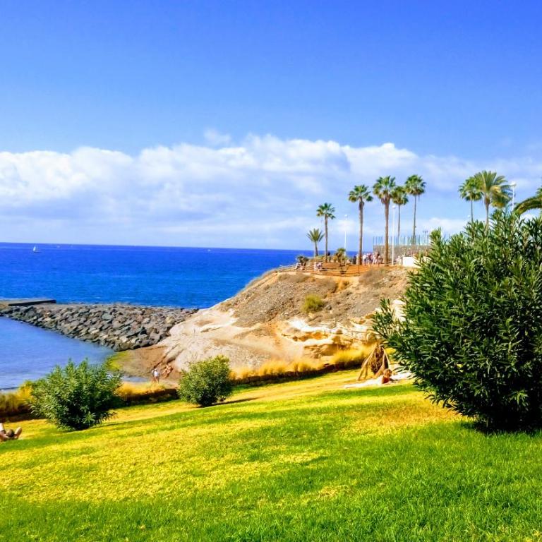 ADEJE EL GALEON SEA View - Apartamento de 2 dormitorios - 19