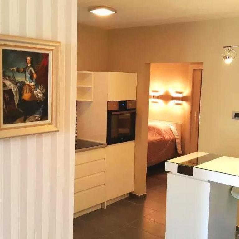 Terranova Apartment (city central) - Apartman sa 2 Spavaće Sobe - 4