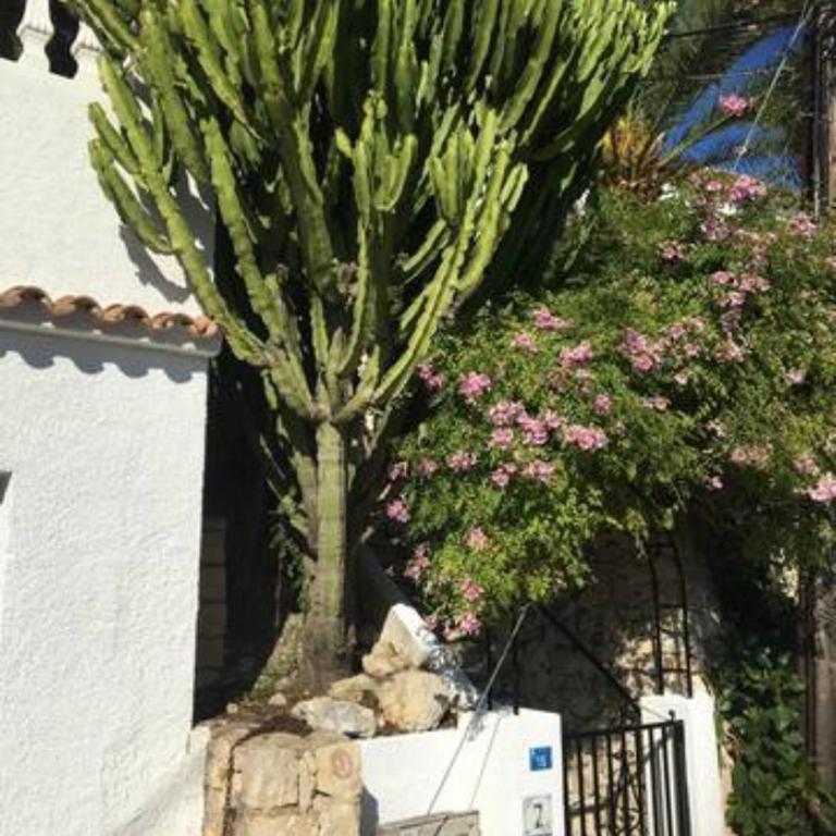 Charming Villa in Montemar with private pool and sea views - Villa de 2 dormitorios - 32
