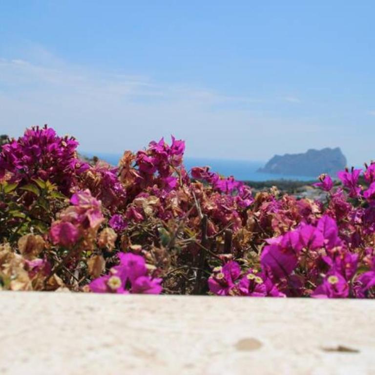 Charming Villa in Montemar with private pool and sea views - Villa de 2 dormitorios - 47