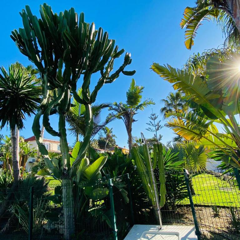 Apartments with tropical garden and sea water pool - One-Bedroom Apartment - 50