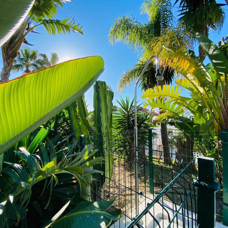 Apartments with tropical garden and sea water pool - One-Bedroom Apartment - 51