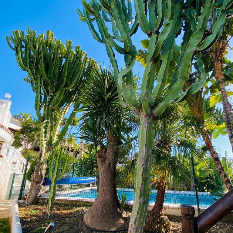 Apartments with tropical garden and sea water pool - One-Bedroom Apartment - 39
