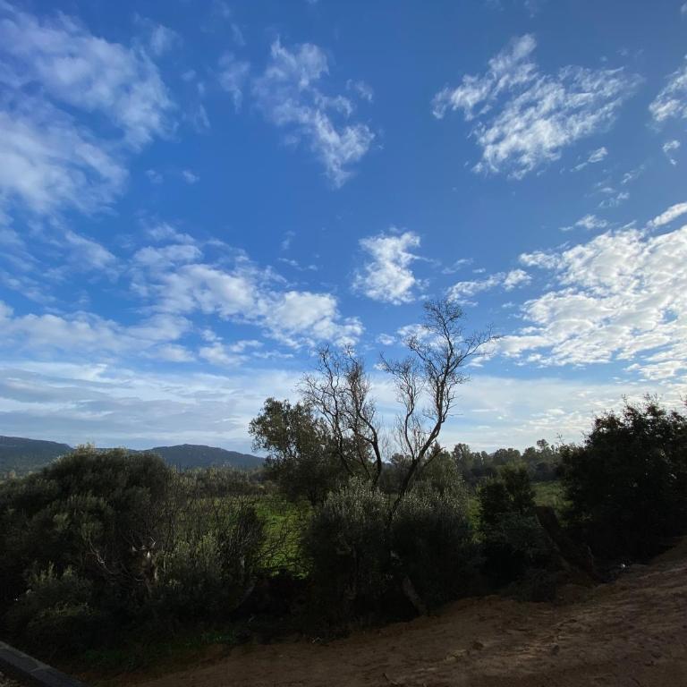 Porto-Vecchio, Luxe et lumière, Stanatura - Apartamento de 2 dormitorios - 9