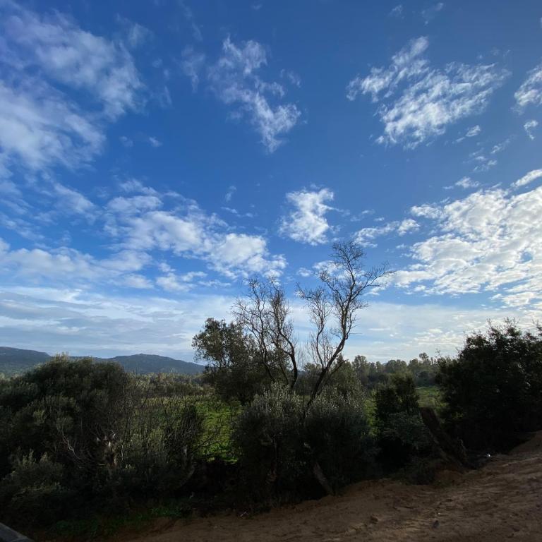 Porto-Vecchio, Luxe et lumière, Stanatura - Apartamento de 2 dormitorios - 3